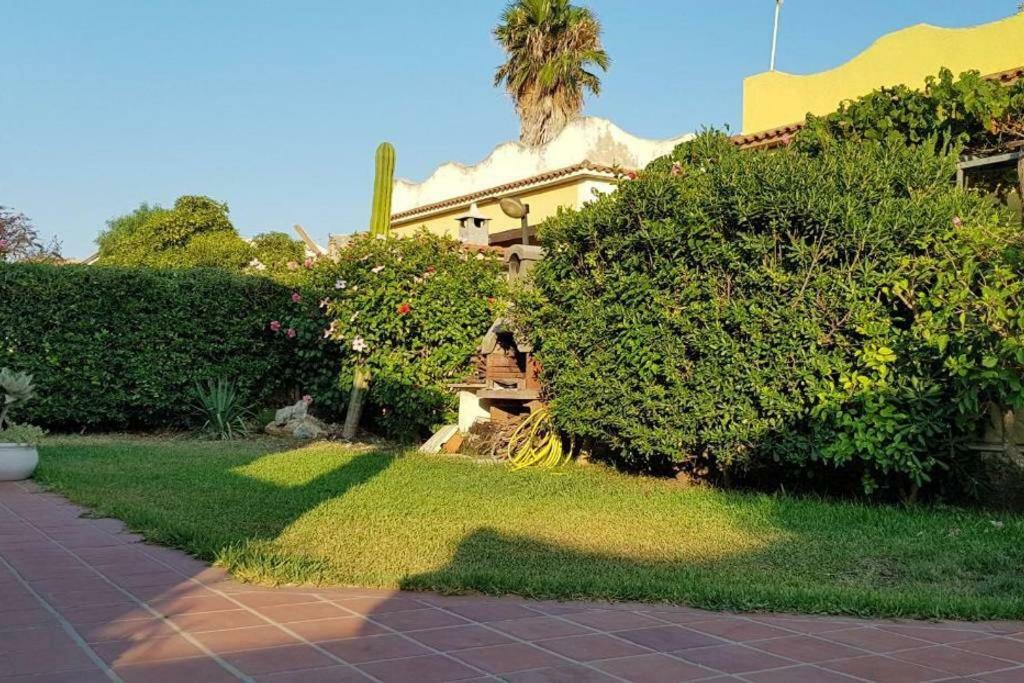 Marzamemidamare Apartment Exterior photo